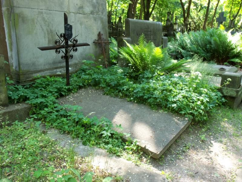 Zdjęcie grobu Antonina Milewska (1)