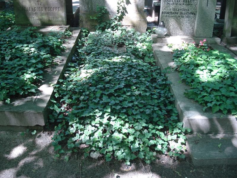 Zdjęcie grobu: Anonim