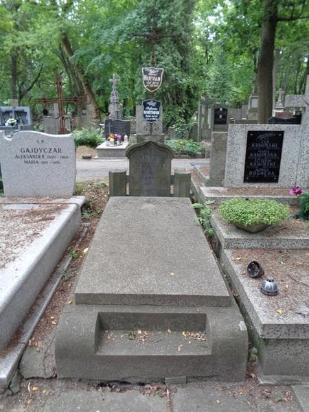 Zdjęcie grobu Henryk Hartman (1)