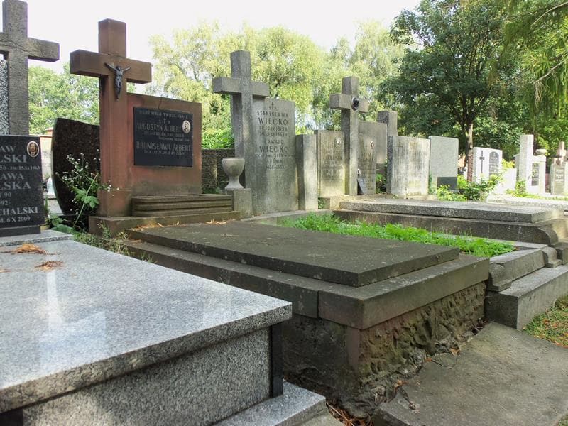Zdjęcie grobu Augustyn Albert (1)