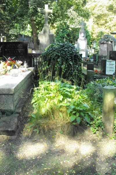 Zdjęcie grobu: Władysław Knaute
