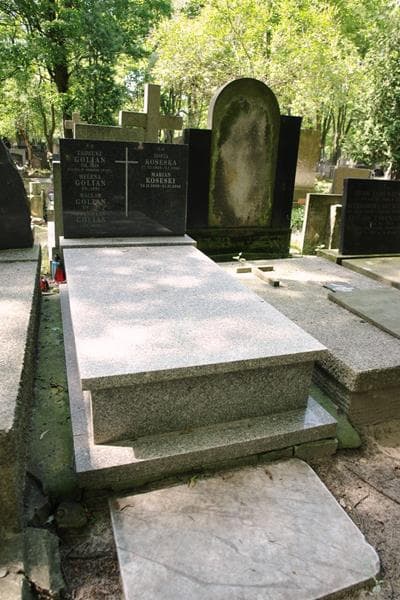Zdjęcie grobu Tadeusz Golian (1)