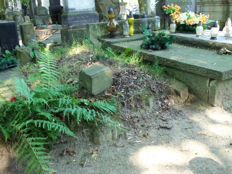 Zdjęcie grobu Pole Grobowe (1)