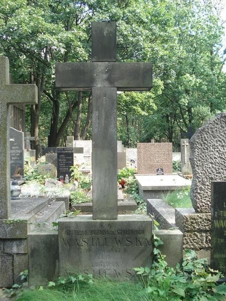 Zdjęcie grobu Ludwik Wasilewski (2)