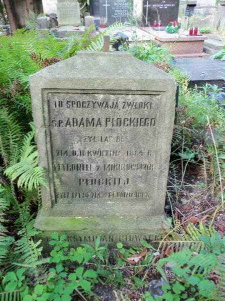 Zdjęcie grobu Marianna Janicka (1)