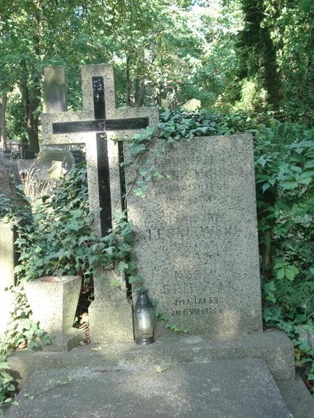 Zdjęcie grobu Stanisław Leśniewski (1)