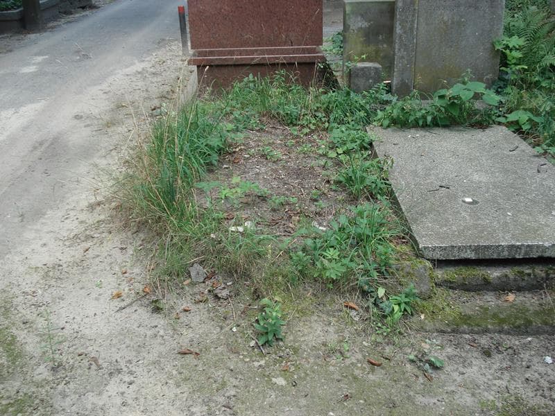 Zdjęcie grobu: Pole Grobowe