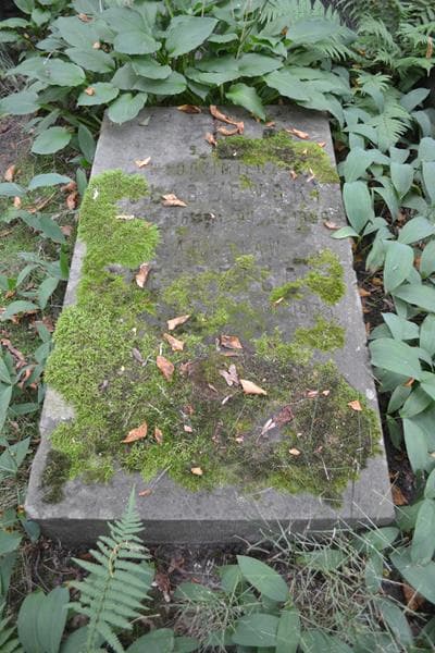 Zdjęcie grobu Włodzimierz Gołaszewski (2)