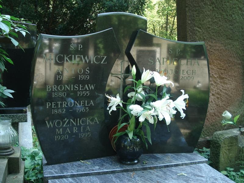 Zdjęcie grobu Antoś Mickiewicz (1)