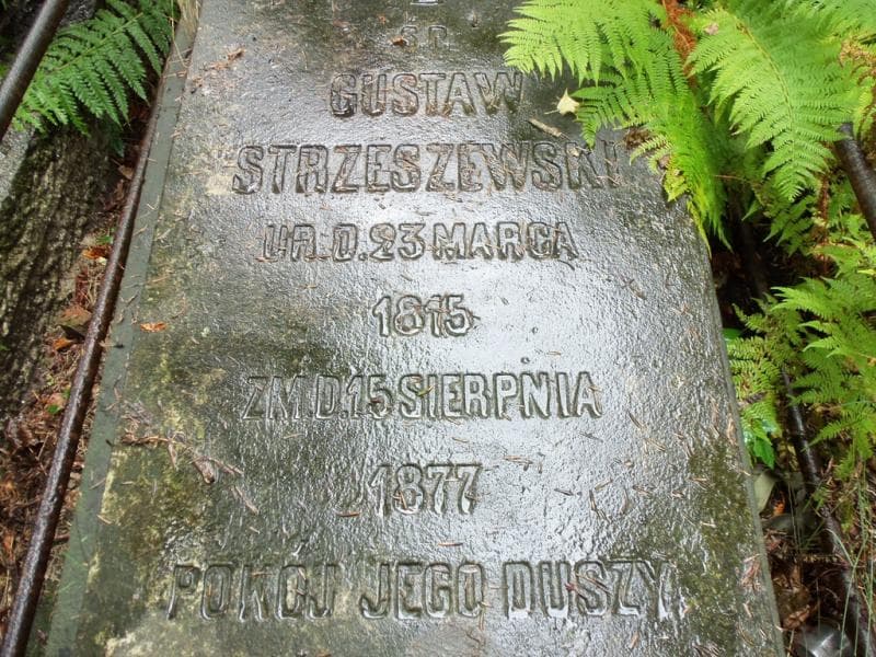 Zdjęcie grobu Gustaw Strzeszewski (2)