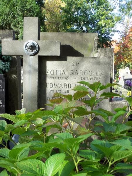 Zdjęcie grobu Małgosia Dowkontt (2)