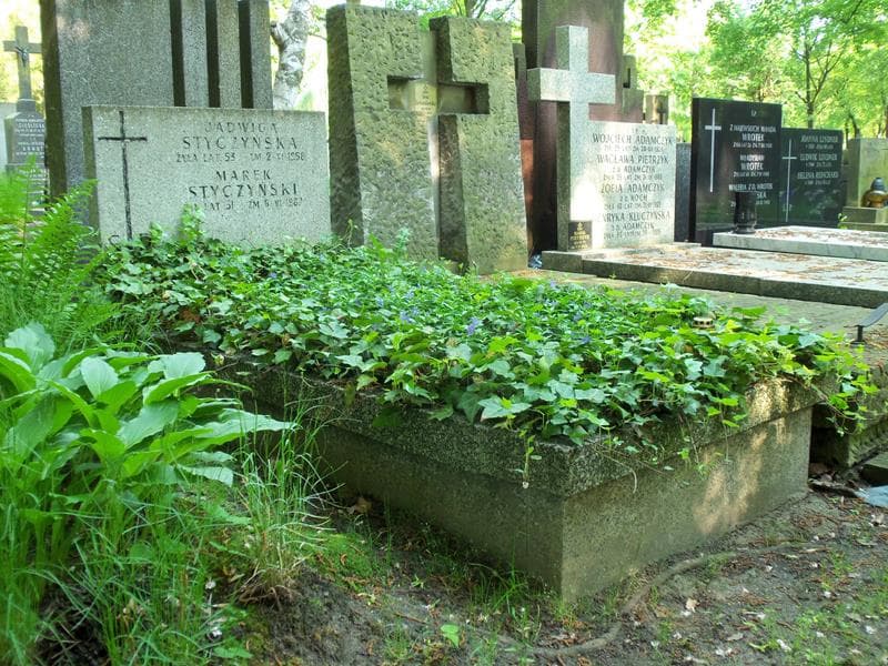 Zdjęcie grobu Marek Styczyński (1)