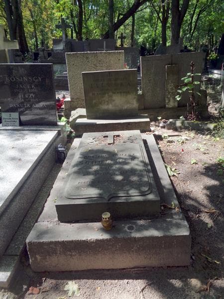 Zdjęcie grobu Amelia Ilińska (1)