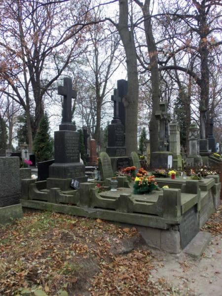 Zdjęcie grobu Michalina Podlewska (1)