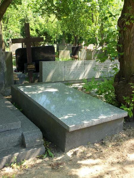 Zdjęcie grobu Stanisław Cegielski (1)