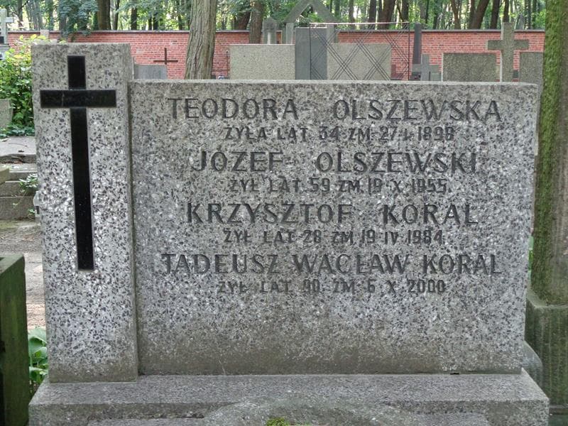 Zdjęcie grobu Józef Olszewski (2)