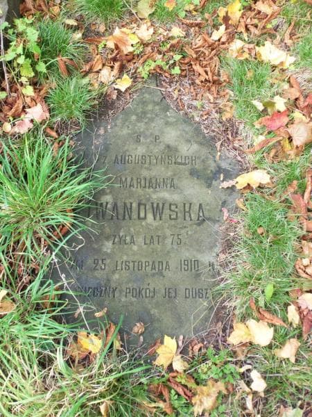 Zdjęcie grobu Marjanna Iwanowska (1)