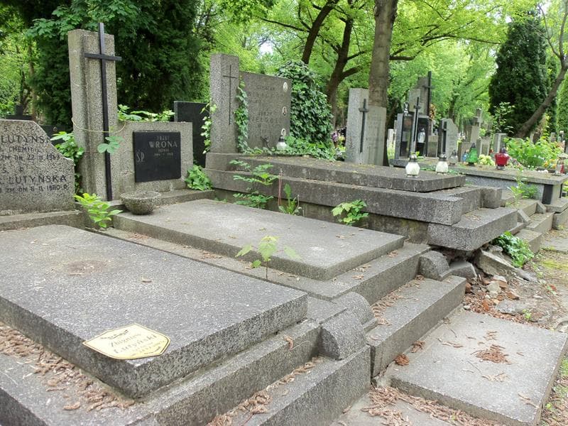 Zdjęcie grobu Józef Wrona (1)