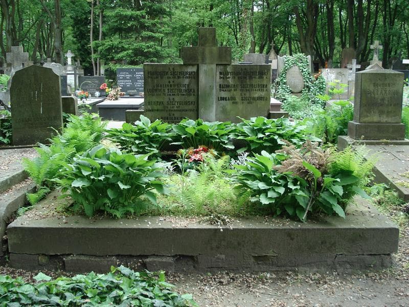 Zdjęcie grobu: Ludwika Szczyglińska