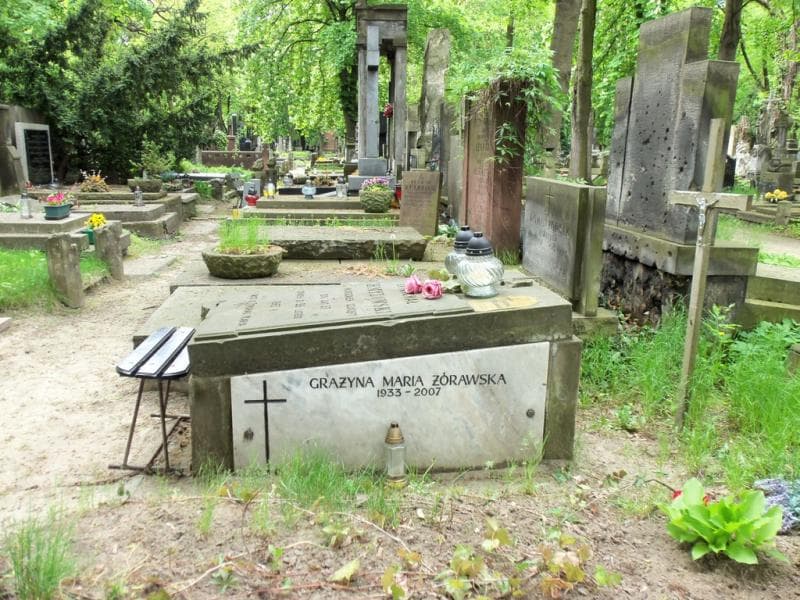 Zdjęcie grobu Michał Chmyzowski (1)
