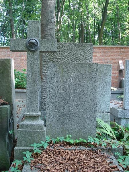 Zdjęcie grobu Józef Lipiński (2)