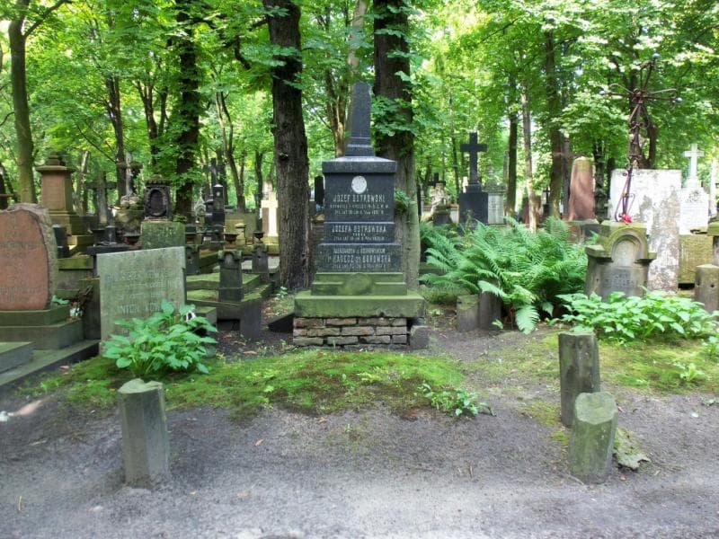 Zdjęcie grobu Aleksandra Borowska (1)