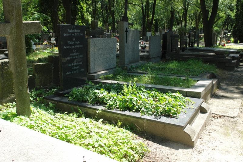Zdjęcie grobu: Wacław Hopfer