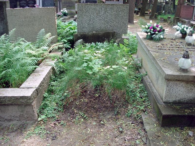 Zdjęcie grobu: Pole Grobowe