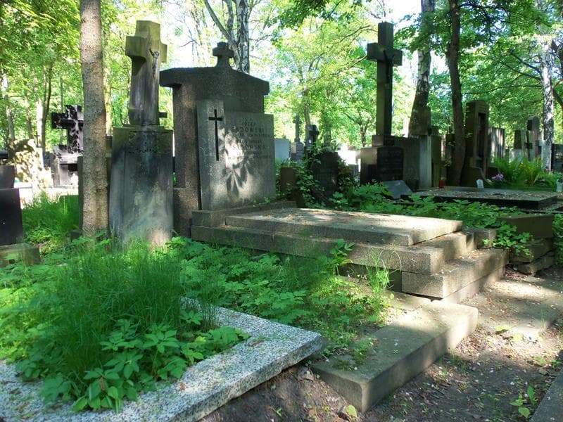 Zdjęcie grobu Roman Głodziński (1)