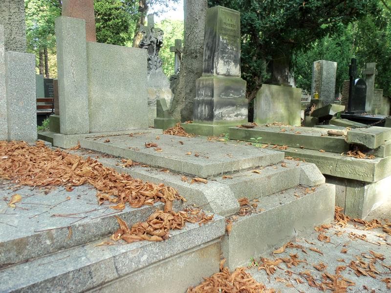Zdjęcie grobu Cecylia Rychlewska (1)