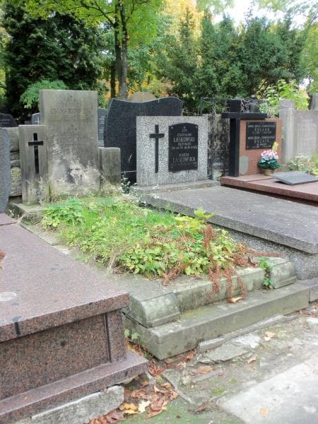 Zdjęcie grobu Jasiulek Żmigrodzki (1)