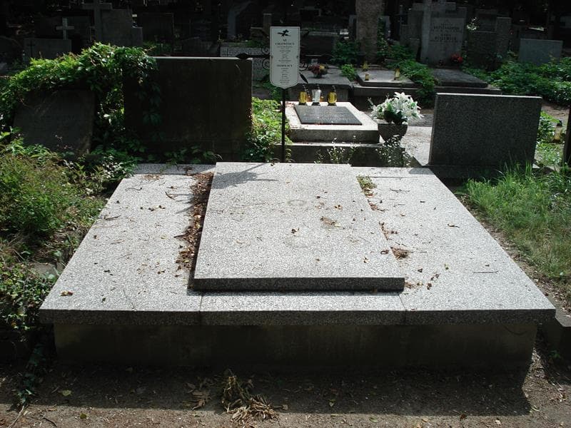 Zdjęcie grobu: Łucja Michalina Chlewińska