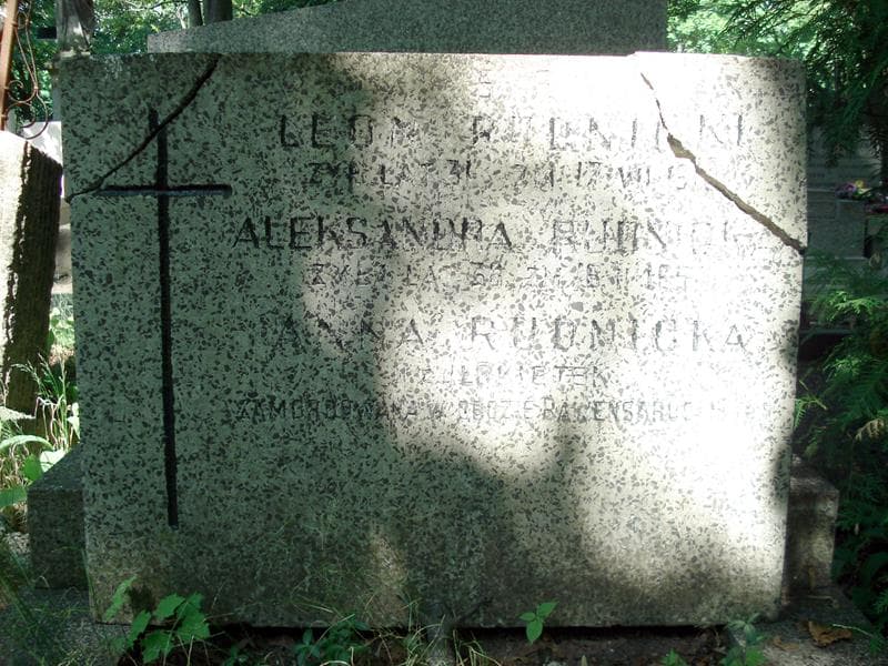 Zdjęcie grobu Leon Rudnicki (1)