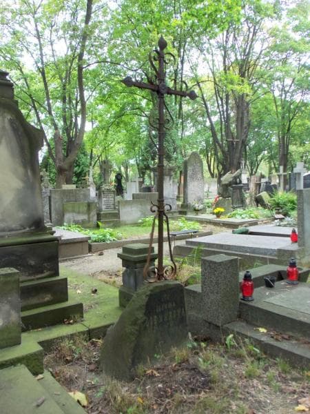 Zdjęcie grobu Ludwika Liemanowa (2)