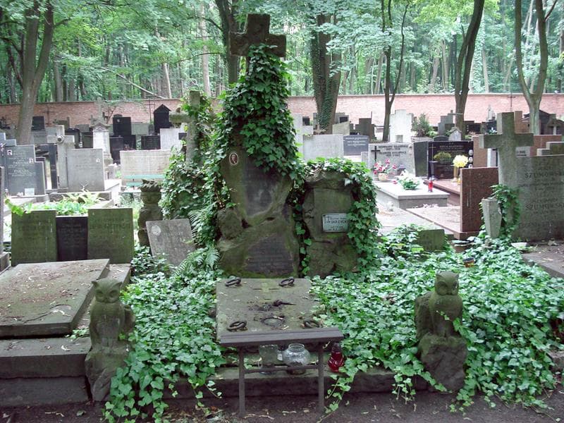 Zdjęcie grobu: Władysław Chudzicki