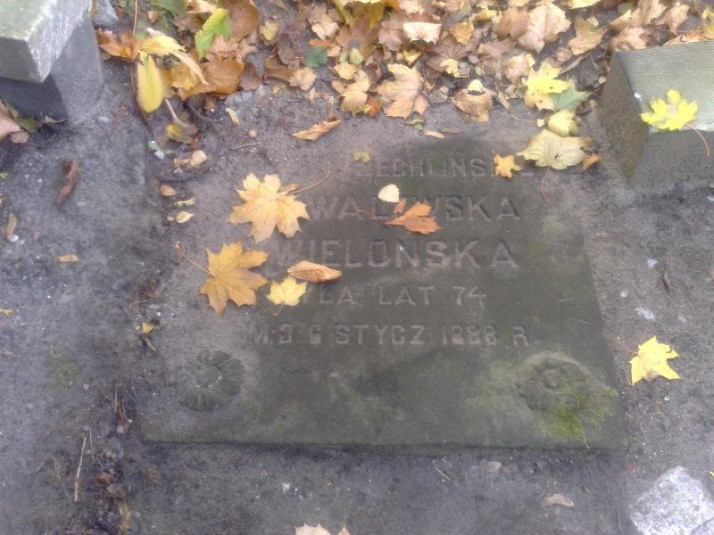 Zdjęcie grobu Emilia Walewska Wielońska (1)