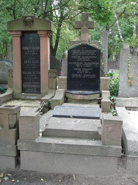 Zdjęcie grobu Wacław Sękowski (1)