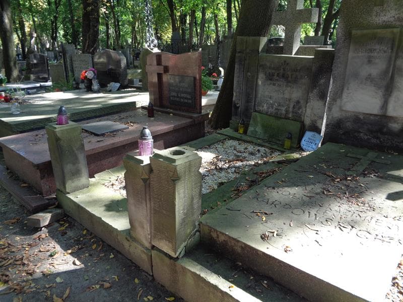 Zdjęcie grobu: Tadeusz Gout
