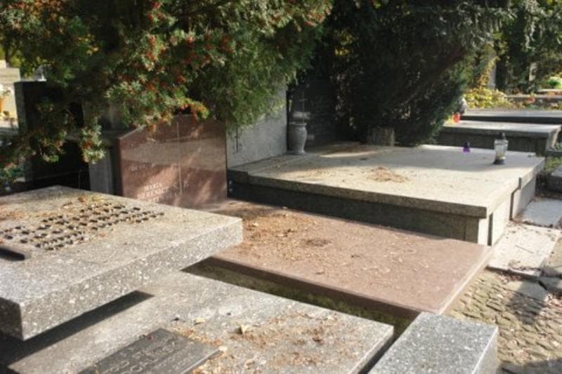 Zdjęcie grobu Michał Derenicz (1)