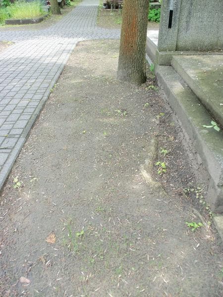 Zdjęcie grobu: Pole Grobowe