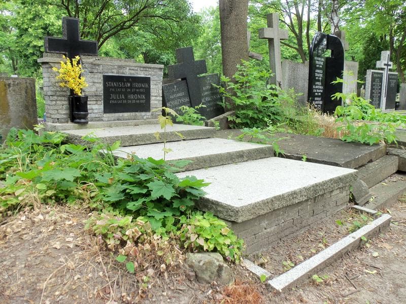Zdjęcie grobu Julia Hronik (1)