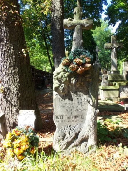 Zdjęcie grobu Józef Tarnowski (2)