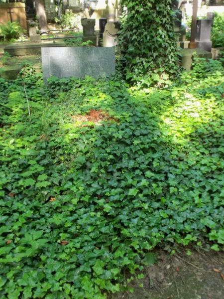 Zdjęcie grobu: Sabina Turska