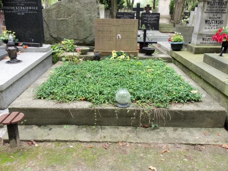 Zdjęcie grobu: Władysław Czerwiński