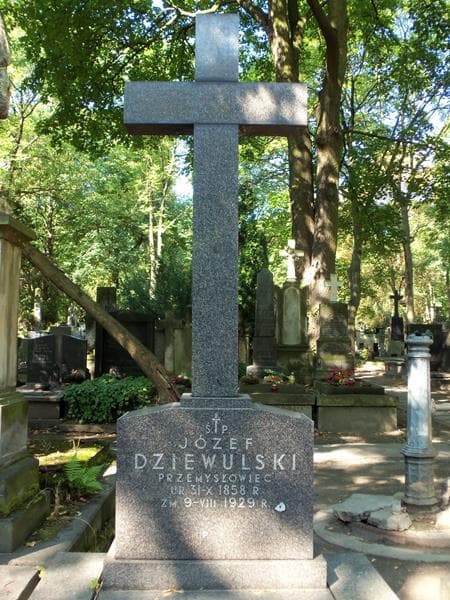 Zdjęcie grobu Zofia Kunkel (2)