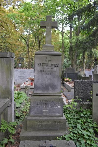 Zdjęcie grobu Wojciech Sławniewicz (2)