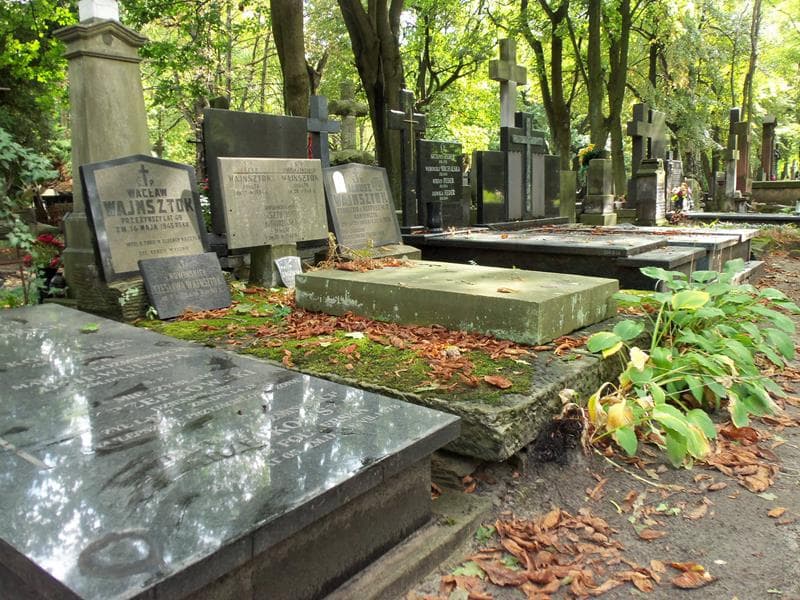 Zdjęcie grobu Józef Wajnsztok (1)