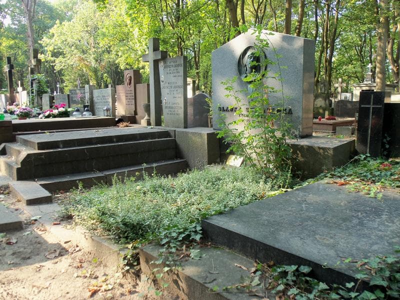 Zdjęcie grobu Zofia Szeliżyna (1)