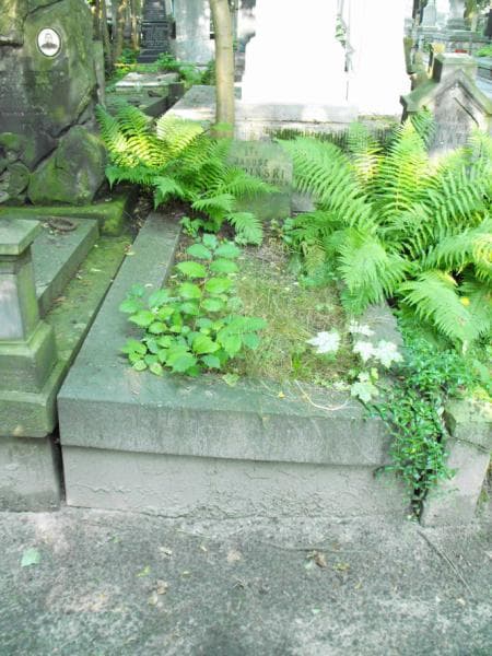 Zdjęcie grobu: Janusz Kwapiński