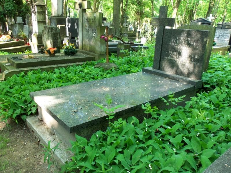 Zdjęcie grobu Edward Żółtowski (1)